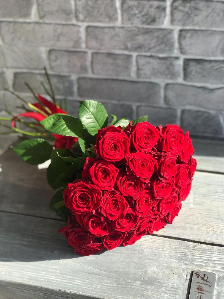 Букет Красные розы Фридом в Тарногском Городке