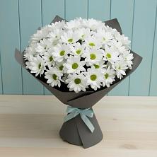 Букет цветов из:  Хризантемы в Тарногском Городке