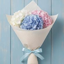 Букет цветов из:  Гортензия в Тарногском Городке