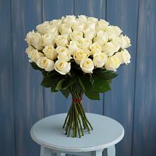 Букет 51 Белая роза Эдлесс Лав #REPLACE_PRED# Тарногском Городке