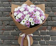 Букет цветов из:  Хризантемы в Тарногском Городке