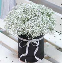 Цветочная композиция из Гипсофила в шляпной коробке в Тарногском Городке