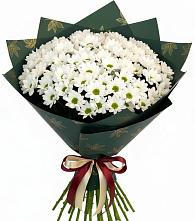 Букет цветов из:  Хризантемы в Тарногском Городке