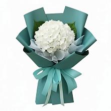 Букет цветов из:  Гортензия в Тарногском Городке
